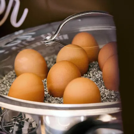 酒店 Essen-nord 埃森